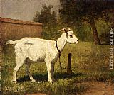 Henriette Ronner-Knip A Goat In A Meadow painting